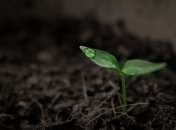 Может вызвать голод: изменение климата влияет на сельскохозяйственную почву