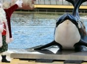 Санта Клаус готов исполнить желания детей из теплых стран в Дубае