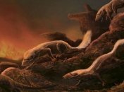 Зубы первых млекопитающих рассказали об их образе жизни