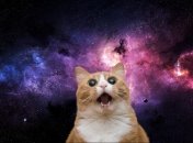 Иллюстративное фото