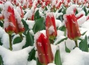 Новый удар непогоды: Украину сегодня снова накроет снегом