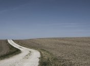 Снятие моратория на продажу земли: что думают украинцы