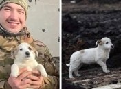 Фото Виктории Пушкиной