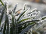 Украину накрыло снегом: какой будет погода 13 января