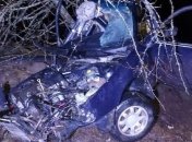 Водитель погиб, пассажиры – в реанимации: подростки устроили смертельное ДТП на Ровенщине (фото)