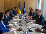 Климпуш-Цинцадзе разочарована заявлениями о референдуме о вступлении в НАТО