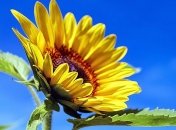 5 августа - праздник, что категорически запрещено делать, главные приметы