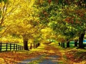 Прогноз погоды в Украине на 17 октября: местами дождь  