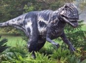 Ученые развенчали миф о том, что тираннозавр мог бегать 