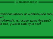 Проведите утро с улыбкой: самые смешные анекдоты