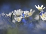 Погода на выходные дни: потепление до +20, но местами с дождями