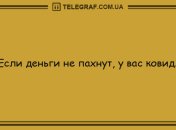 Целая волна позитива на вечер: подборка веселых анекдотов