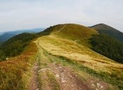В Карпатах молния ударила сразу в трёх туристов: в каком они состоянии (фото)
