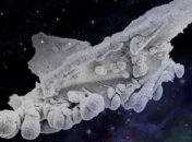 Ученые нашли жизнь в стратосфере Земли