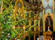 Троица 2016: традиции, приметы и как подготовиться к празднику