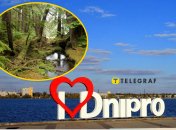 В Днепре сфотографировали редкую птицу