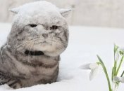 Прогноз погоды на 21 марта в Украине: снег и гололед