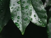 Дождь с мокрым снегом: чем "удивит" погода сегодня, 21 марта