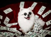 Некоторым знакам Зодиака придется раскошелиться