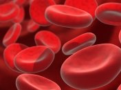 Открыт новый метод реабилитации кровеносных сосудов