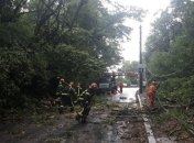 Семь областей Украины частично обесточены из-за непогоды