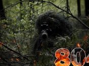 Бої за Україну продовжуються