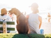 МОЗ спростували вплив тепла на коронавірус