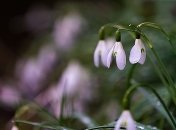 В Украине веет весной: прогноз погоды 20 февраля