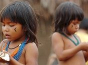 Бразильские индейцы впервые вступили в контакт с внешним миром