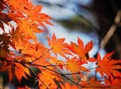 День осеннего равноденствия в сентябре 2019: приметы и ритуалы 