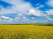 С первым днем весны!