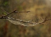 Ясну погоду варто чекати лише у суботу