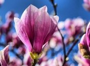 Погода: синоптики рассказали, где будет летняя жара, а где пройдут дожди