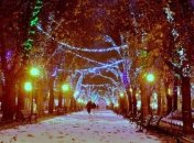 Первый снег в Одессе попал на захватывающие фото и видео