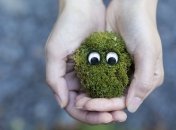 Еще так много неизведанного хранит наша планета: за 2019 год открыто 71 новых видов