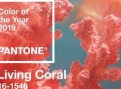 Назван главный цвет 2019 года