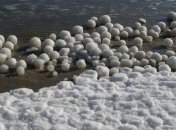 Ученые раскрыли тайну происхождения гигантских ледяных шаров на Ямале
