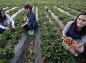 Верное средство от бессонницы