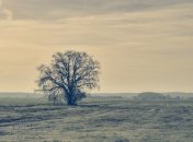 В Украину идет резкое похолодание: какой погоды ждать до конца месяца