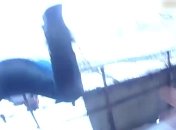 В Кременчуге домашний тиран пытался выпрыгнуть с 7 этажа: патрульные поймали его за ноги (видео)