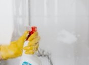 Как удалить плесень между плиткой