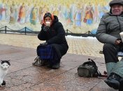 Минэкономразвития запланировало сократить уровень бедности в 4 раза 