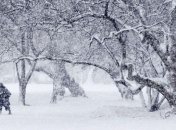 Болгарию засыпало снегом