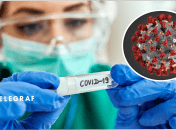 В каких областях уже есть новый штамм ковида