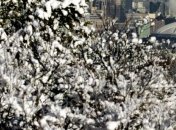 Сильнейшие снегопады наблюдаются в большинстве регионов КНДР 