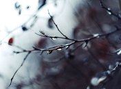 Прогноз погоды в Украине на сегодня: дожди на севере и востоке