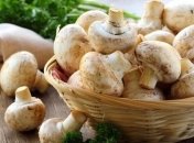 6 человек в реанимации: Врачи призвали киевлян быть внимательными с грибами