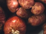 Словесная перепалка в магазине под Киевом закончилась дракой: один из участников получил колбасой по голове (Видео) 