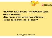 Читаємо та посміхаємося: прикольні анекдоти для настрою ввечері