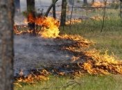 В Северодонецком районе горит лес